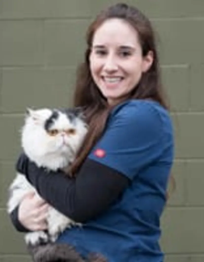 Caitlan - Veterinary Assistant